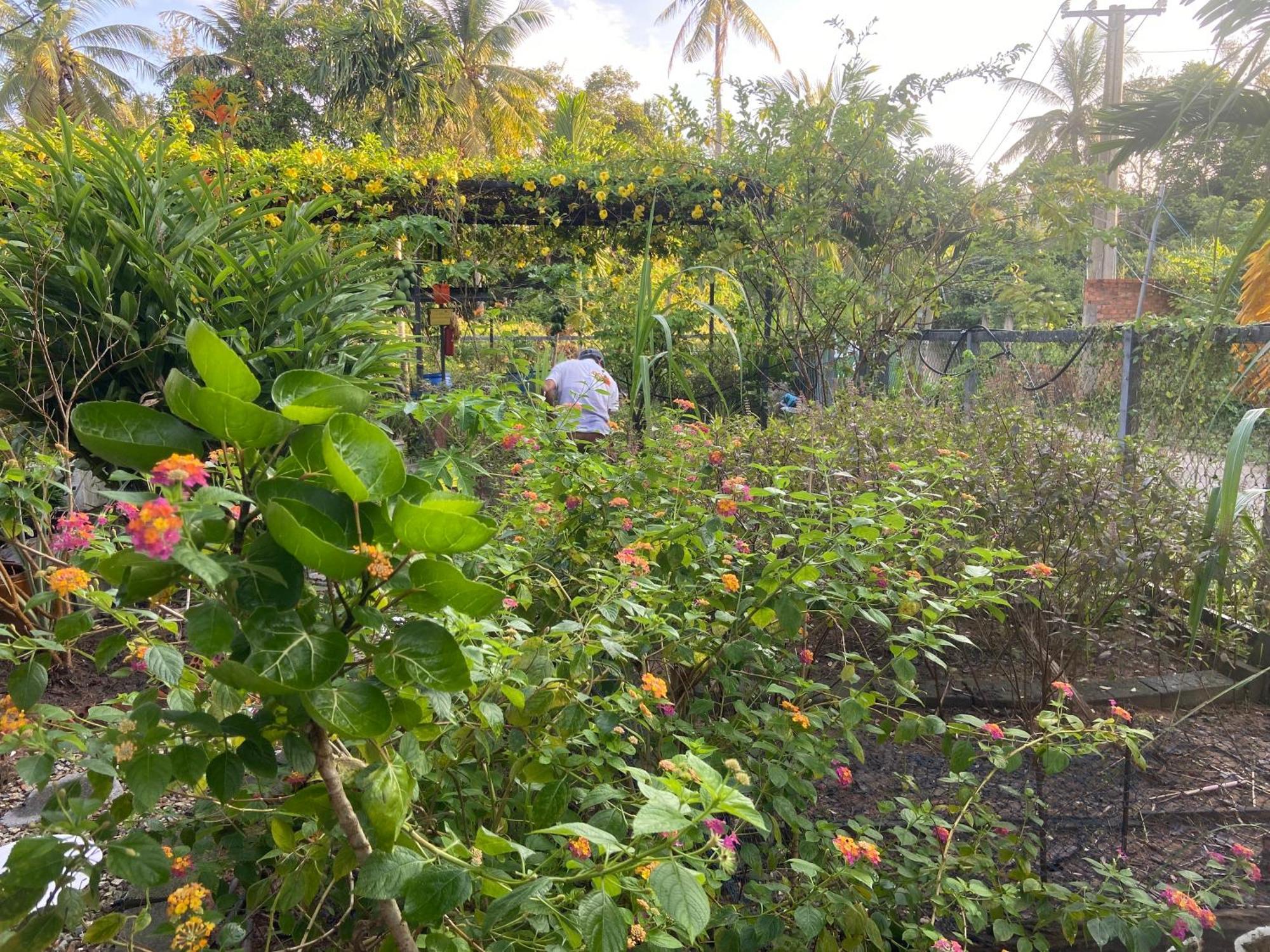 Lana Land Homestay Phu Quoc Buitenkant foto