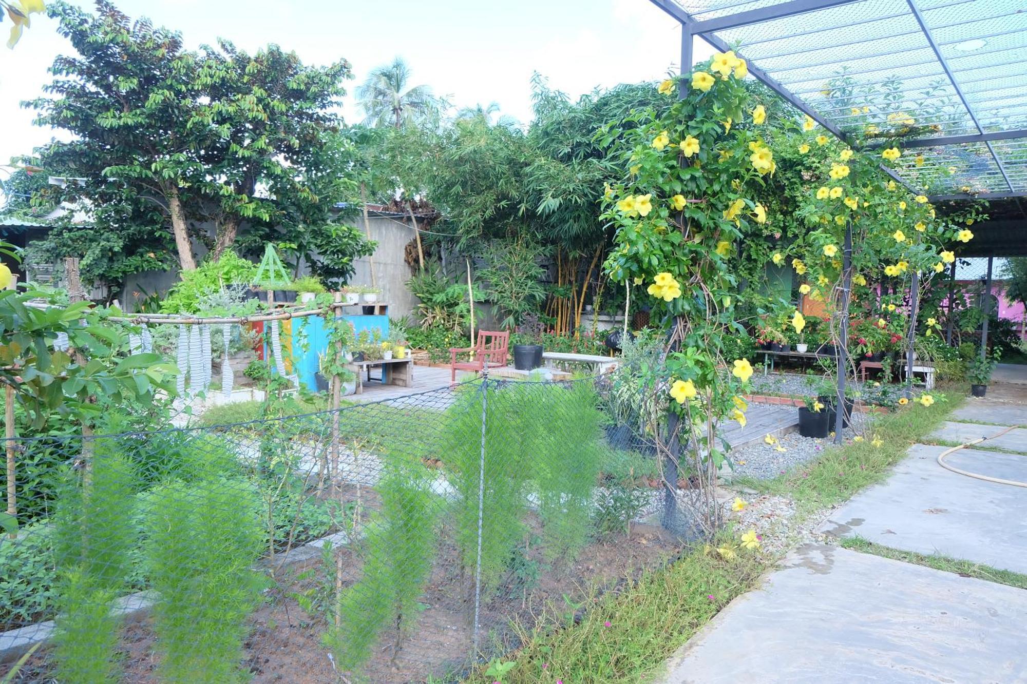 Lana Land Homestay Phu Quoc Buitenkant foto