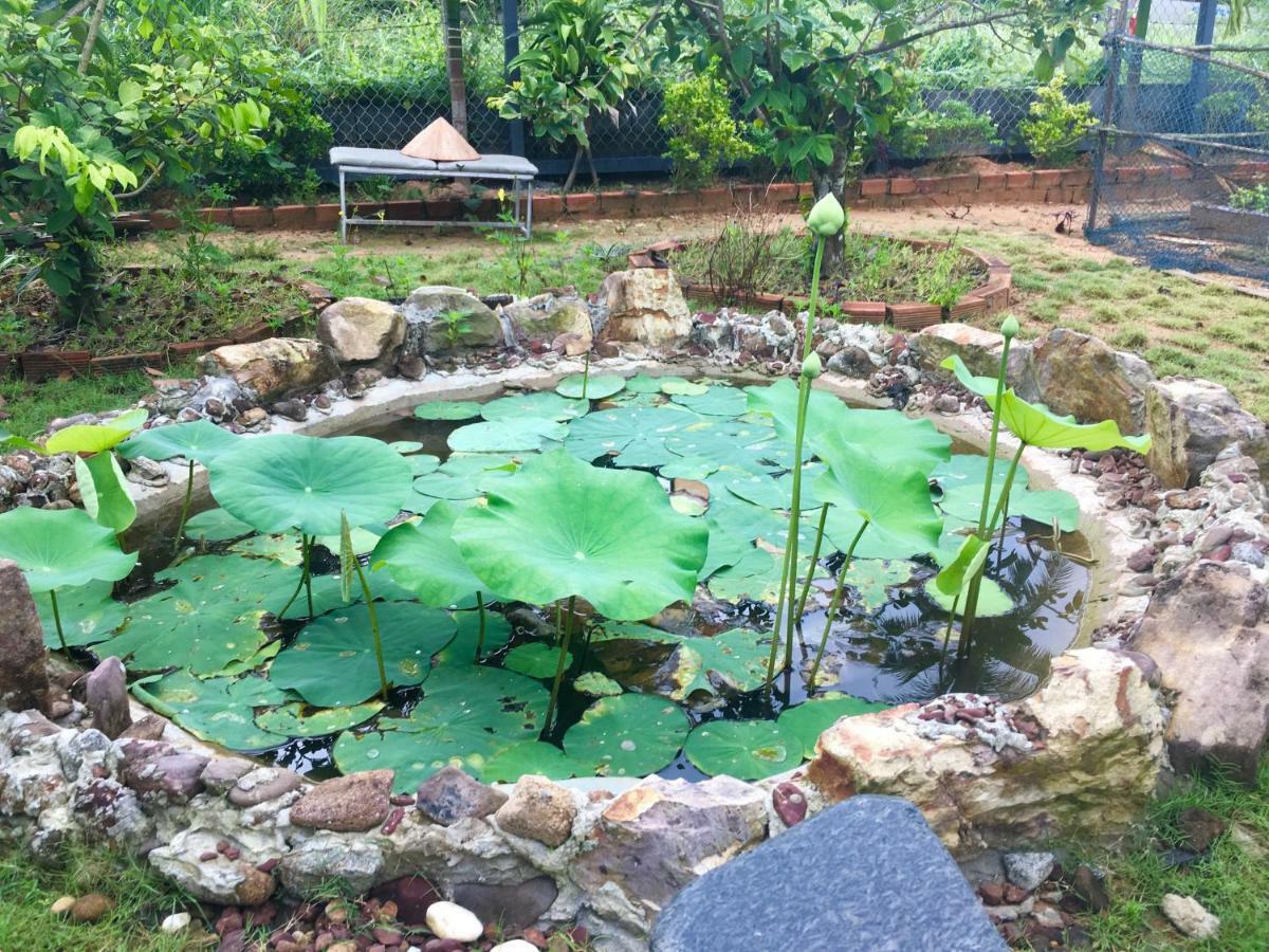 Lana Land Homestay Phu Quoc Buitenkant foto